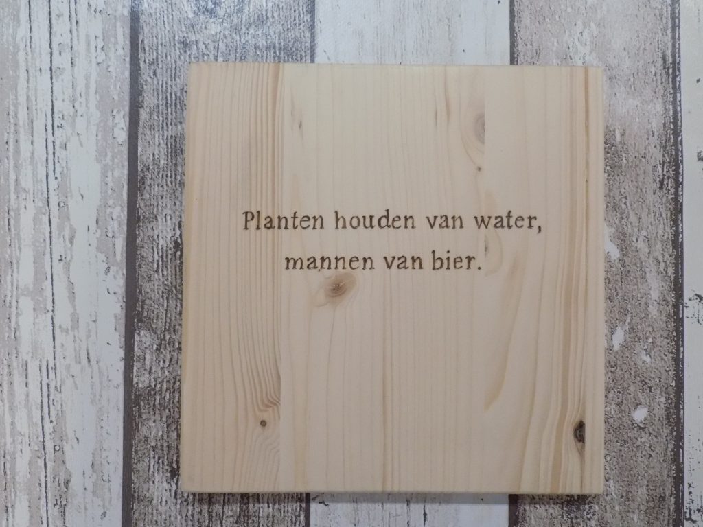 Vierkant plankje 20 x 20 